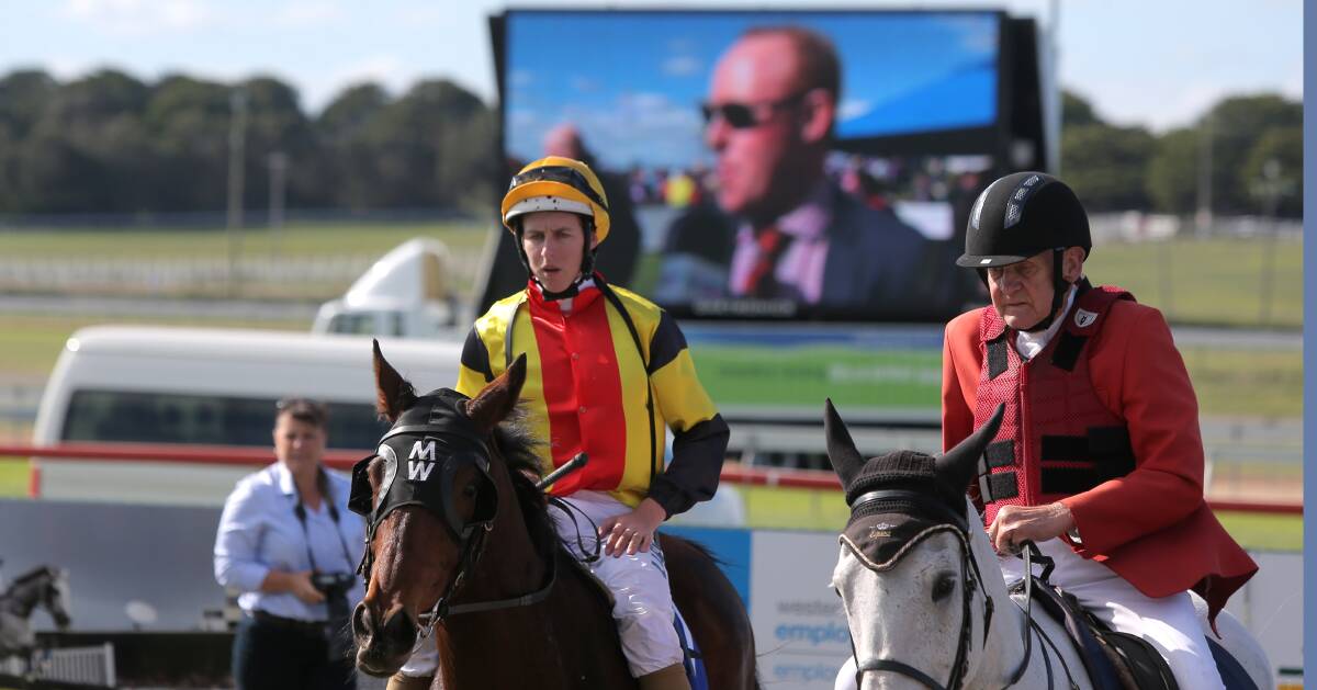 TOP TEAM: Warrnambool trainer Matthew Williams (on the big screen) discusses the win as jockey Damian Lane leaves the track on Hollow Log. Picture: Rob Gunstone