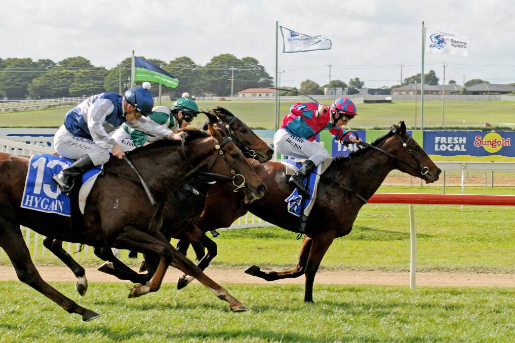 CLOSE FINISH: Jack Hill rides Vatiaz to victory in race three, a 1700m hurdle. Picture: John Donegan/Racing Photos