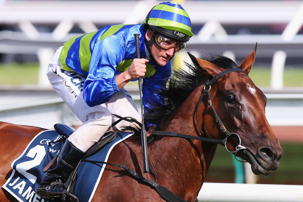ON TRACK: Jameka, pictured last year with jockey Damien Oliver, is a Caulfield Cup contender. Picture: Getty Images