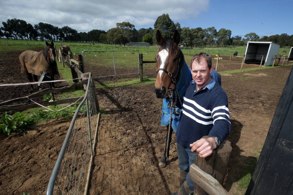 ROAD OPTIONS: Koroit hobby trainer James McNamara pictured with Hornets' Nest in 2013.