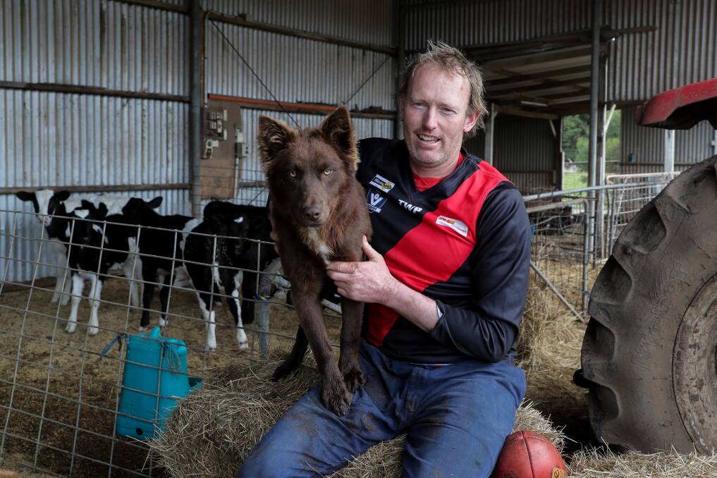 WORK: Cobden footballer Simon Morris is a dairy farmer at Jancourt East. Picture: Rob Gunstone