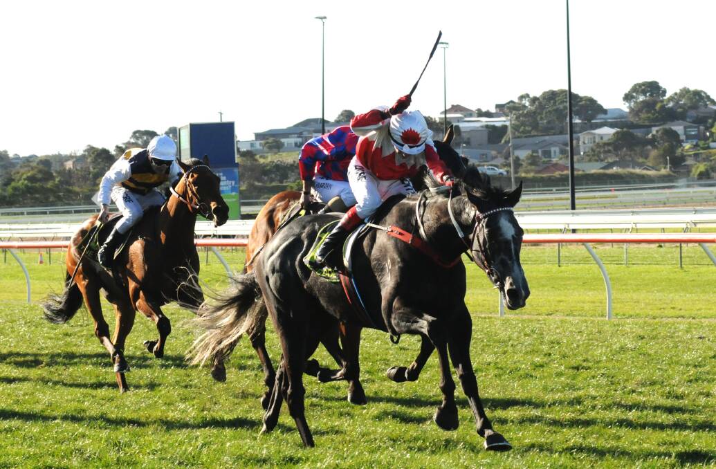 CHASING GLORY: Jockey Dean Yendall rides Master of Arts to victory in the Warrnambool Cup. Picture: John Donegan/Racing Photos