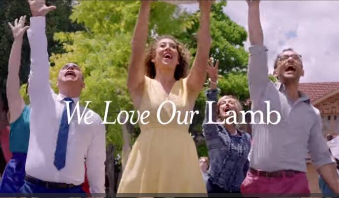 Because You Never Lamb Alone: The new lamb ad campaign is a musical take on political division.