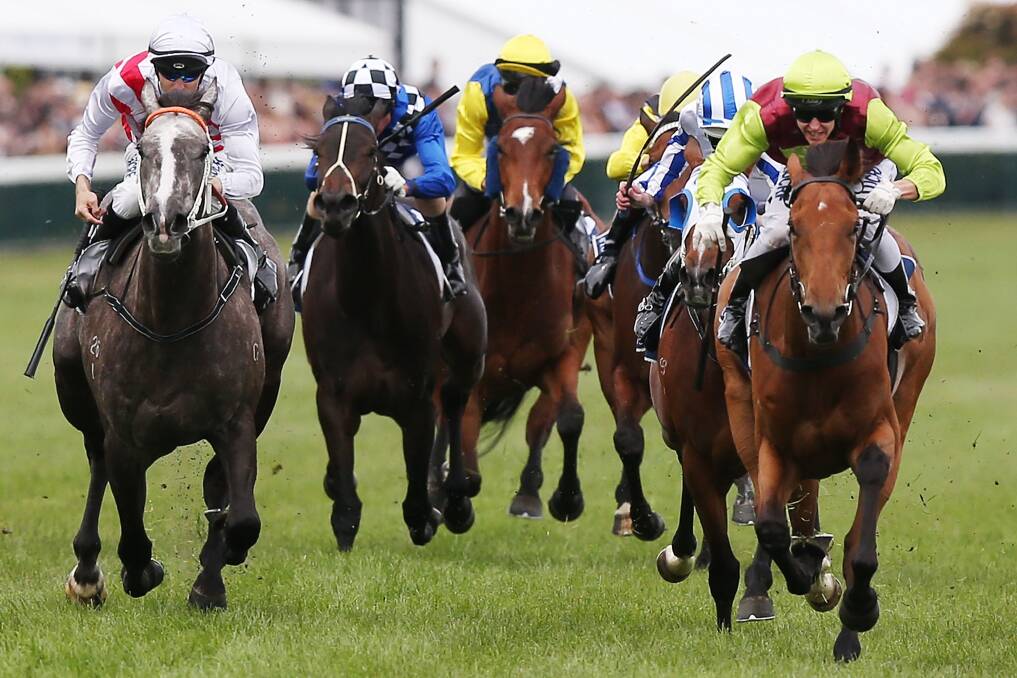 Set Square, pictured right winning the VRC Oaks last year, will carry 51 kilograms if she gets a run in the Caulfield Cup.