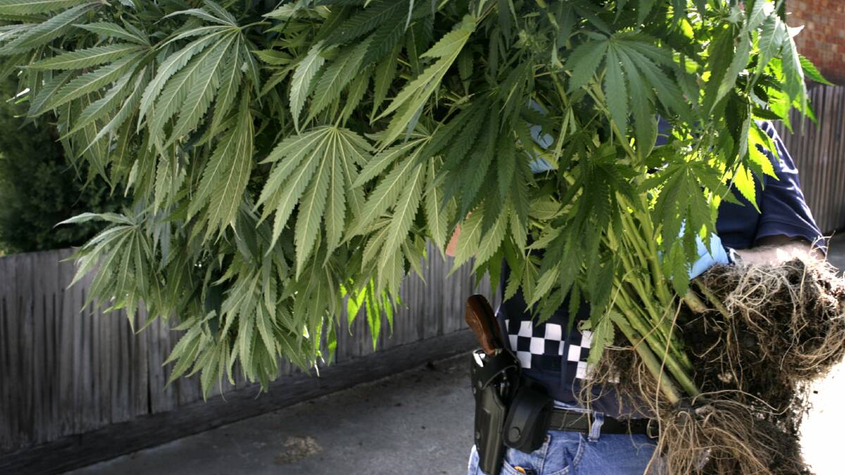 Police have found 34 marijuana plants growing in a hydroponic set up at an unoccupied Colac house. 