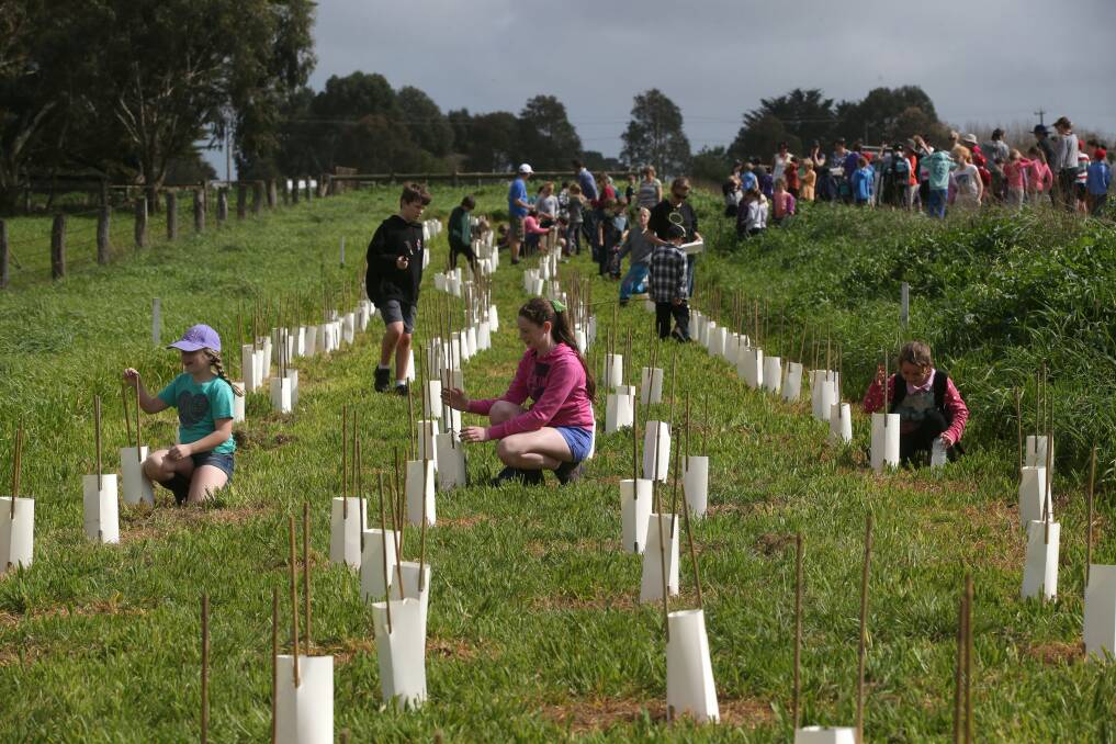 Moyne Shire is encouraging tree planting via its carbon offset program.