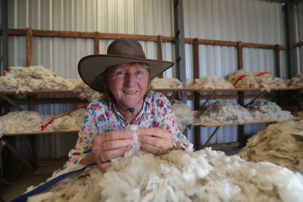 Display: Cynthia Logan from Cashmore checks out the merino fleece at the Tyrendarra Show. The event celebrate its 100th show this weekend. 
