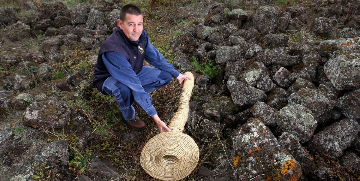 PIECE OF HISTORY: Senior Budj Bim ranger Greg Shelton, pictured in 2015, with a traditional woven eel net in the remains of the canals at Kurtonitj, north of Tyrendarra. 