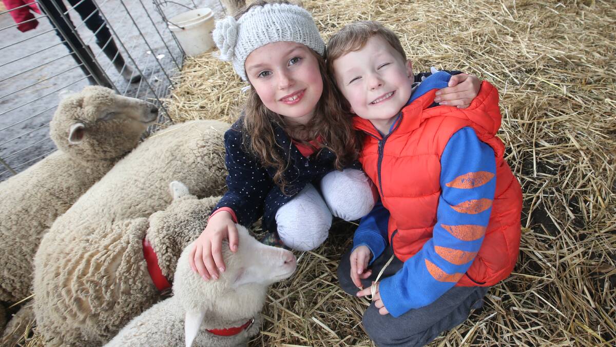 Layla and Harvey Jacobson get up close with a lamb at Sheepvention in 2016. 