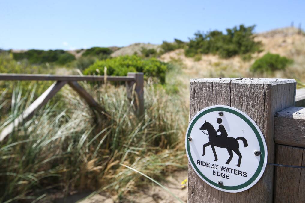 Horse training has been banned from Killarney Beach.