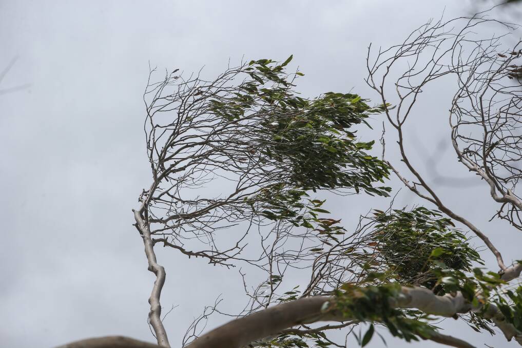 Hats off: Winds expected across south-west, but without intensity.