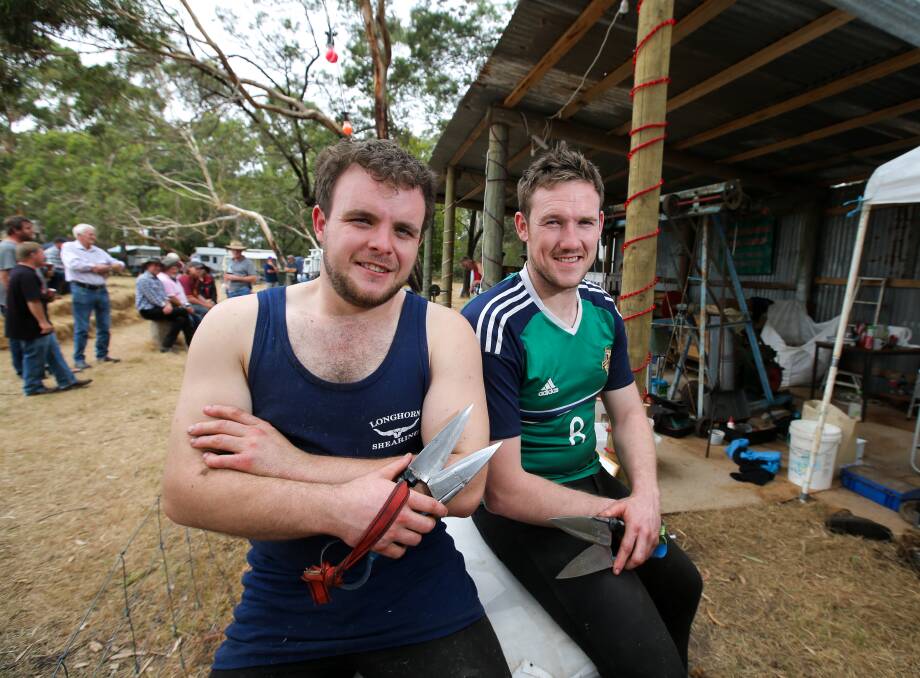 TOP NOTCH HAIRDRESSERS: Irish shearers Chris Coulter and Sam McConnell took on the Australian shearers in the hand shearing challenge at the Orford Vintage Rally. Pictures: Rob Gunstone