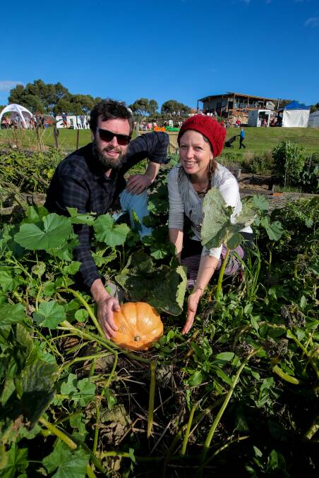 NICE FIND: David Brennan and Kelly Wooster, from Terang, find an unpicked pumpkin at the Warrnambool Community Garden. Picture: Rob Gunstone