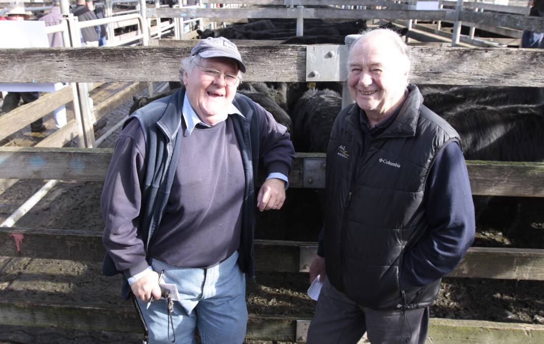 Chuffed: Delighted with the prices paid are Tom Robertson, right, of Hawkesdale, and Saffin Kerr Bowen Rodwells agent Ross Bowen. Mr Robertson sold 786 cattle at the Warrnambool May store cattle sale, averaging $1086 each. 
