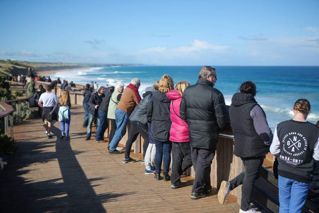 TAKE A LOOK: Warrnambool City Council says a bumper year for whale-viewing is putting pressure on facilities at Logans Beach. Picture: Morgan Hancock