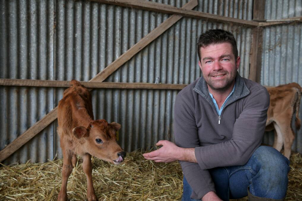 Simpson dairy farmer Jason Smith, who is openly gay, with some of his Jersey calves. Picture: Rob Gunstone