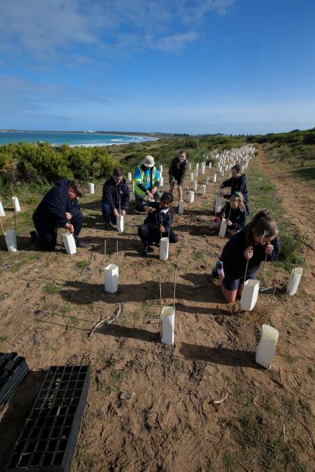 TEAM EFFORT: Grade five and six students from Our Lady Help of Christians Primary School busy planting trees in Warrnambool on Friday. Picture: Rob Gunstone