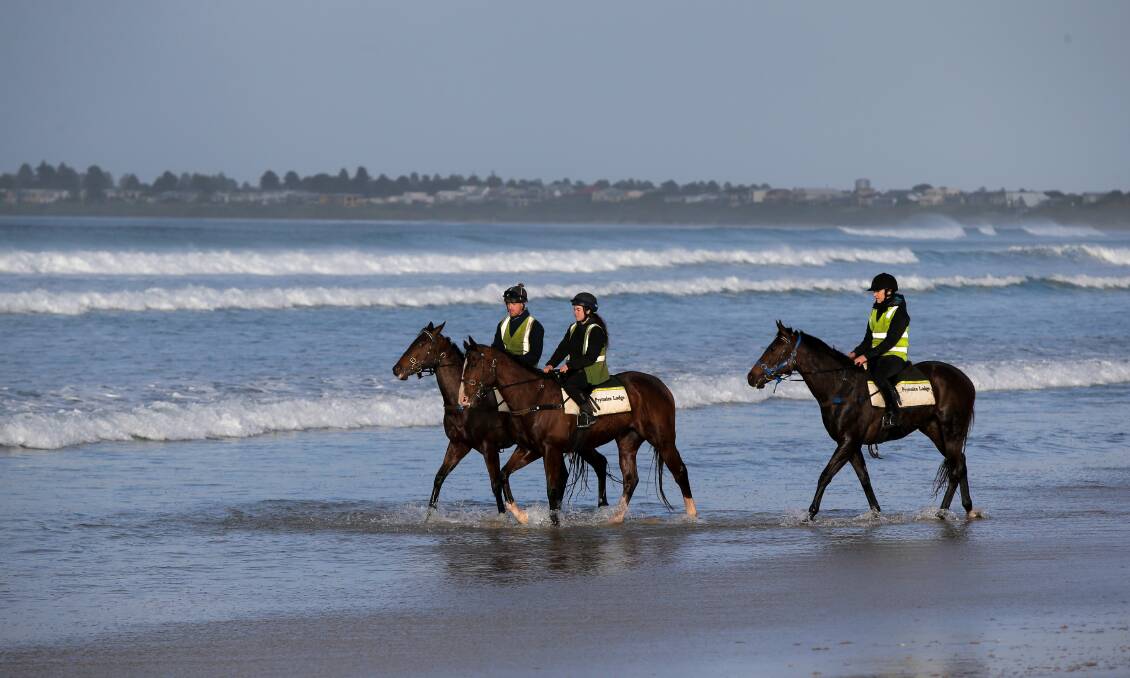 ON THE TROT: Race horses training on a section of Port Fairy beach, between the old tip site and the golf club. Moyne Shire councillor Colin Ryan said local trainers are not getting a fair chance to use the beach. Picture: Rob Gunstone