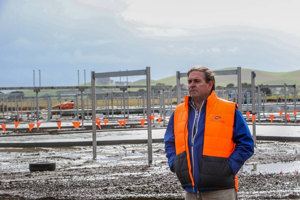 NEW GROUND: Director of WVLX Brendan Abbey at the site of the new saleyards under construction in Mortlake. They are due to open in January. Picture: Christine Ansorge