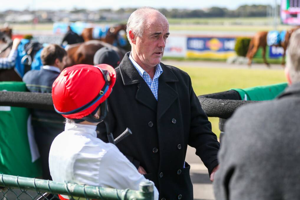 LONG-TERM VISION: Warrnambool trainer Peter Lafferty believes Canterbury King will be a jumper down the track. Picture: Morgan Hancock