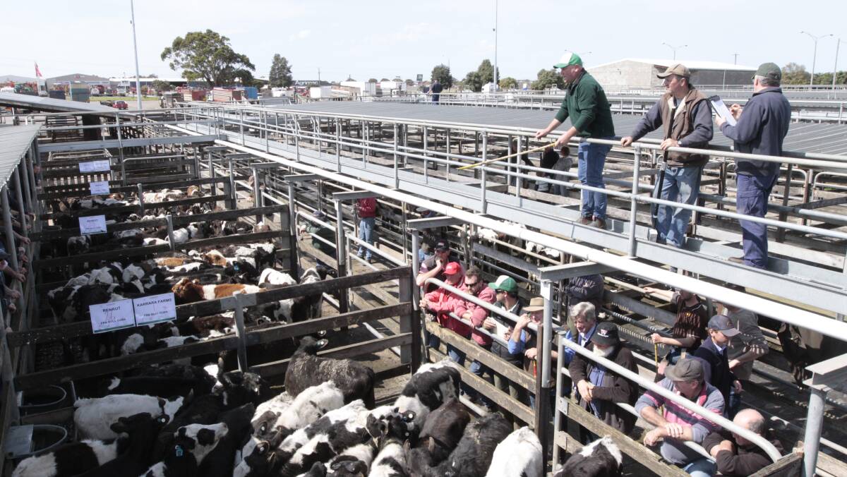 Commitment: Warrnambool council's saleyards advisory committee want the council to finally commit to roofing part of the saleyards.
