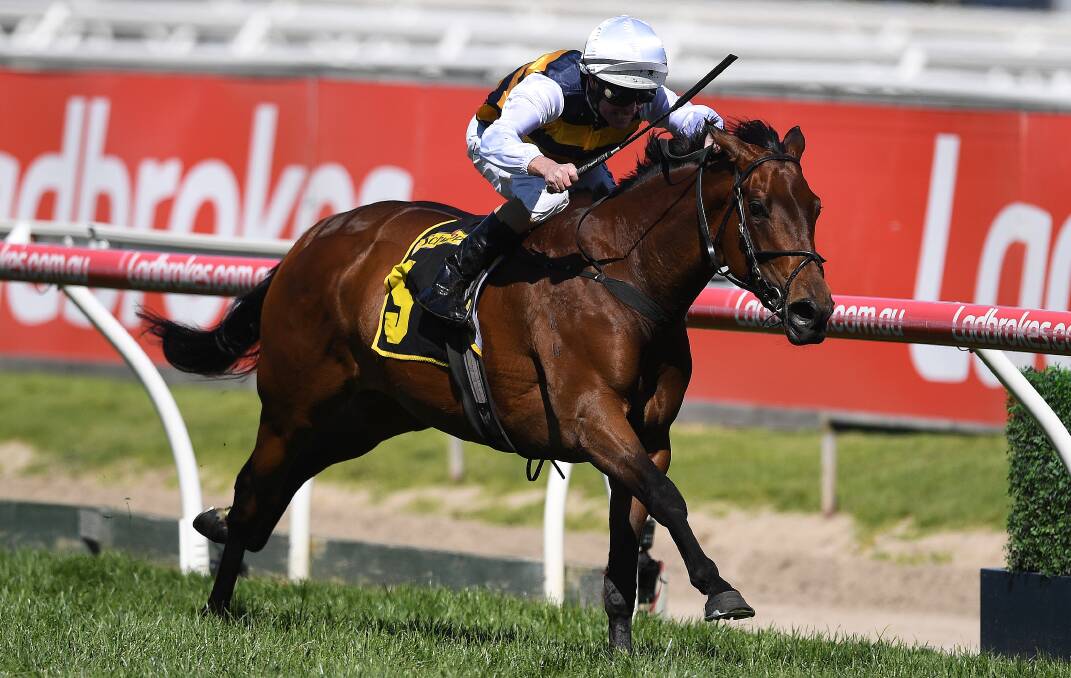 TOUGH DAY: The Luke Nolen-ridden Aloisia, pictured in the Thousand Guineas at Caulfield, struggled in the VRC Oaks at Flemington. Picture: AAP