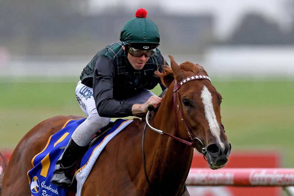 HOME STRETCH: Jockey Ethan Brown led Warrnambool-trained Mrs Gardenia to victory at Sandown on Saturday. Picture: AAP