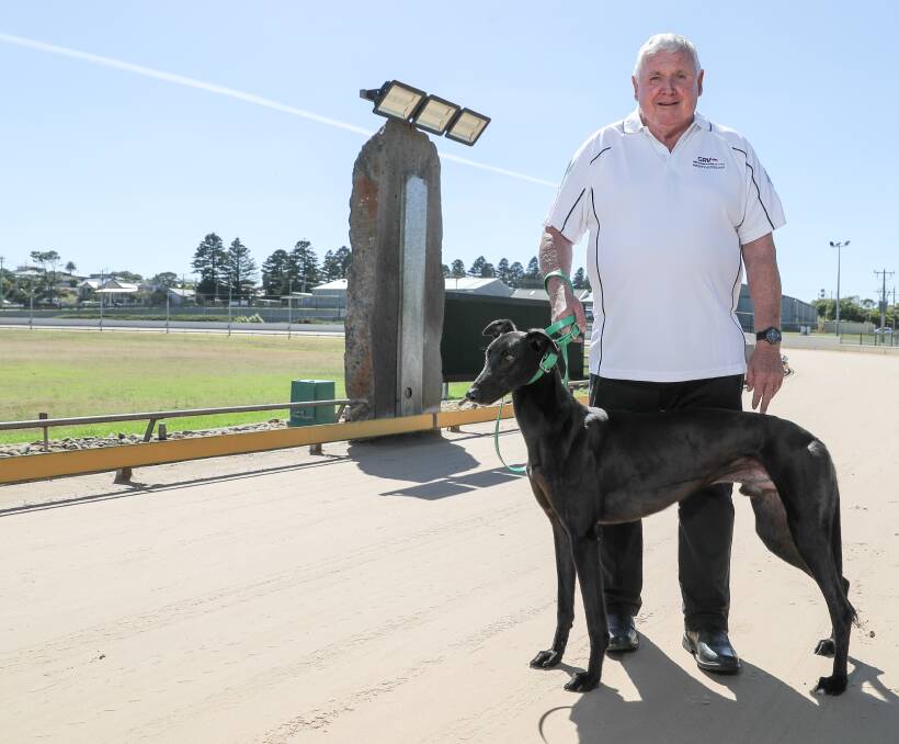 CLEAN RUN: Warrnambool's Ray Drew is hoping his dog Kilty Express will have a good showing in the Warrnambool Summer Cup at Wannon Park on Saturday. Picture: Rob Gunstone