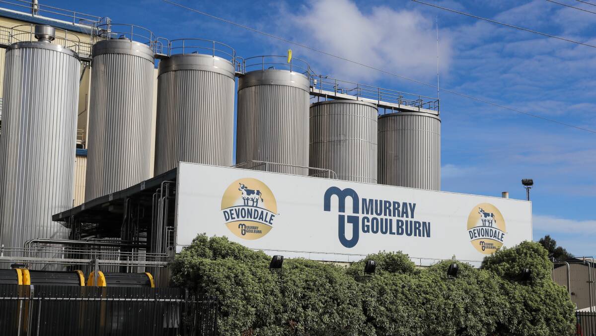 Thirsty: South-west farmers are hoping Saputo's expected efforts to reverse Murray Goulburn's falling milk supply will lead to better milk prices.
