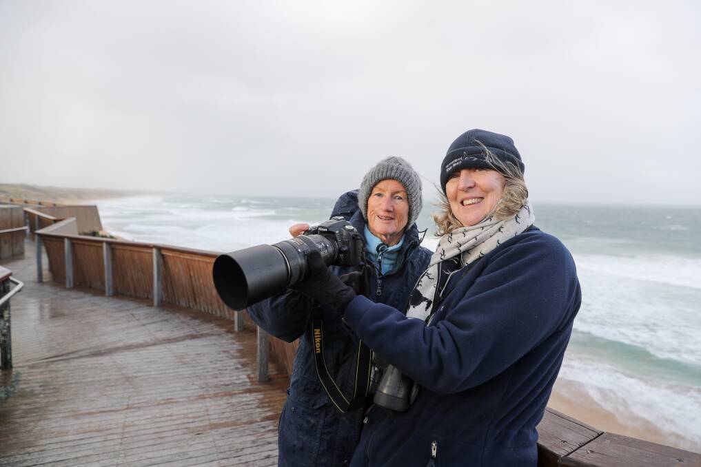 'Tis the season: Whale photographer Joan Young talks with Department of Environment, Land, Water and Planning's Mandy Watson about how to photograph southern right whales for identification as the city prepares to welcome the annual visitors. Picture: Rob Gunstone