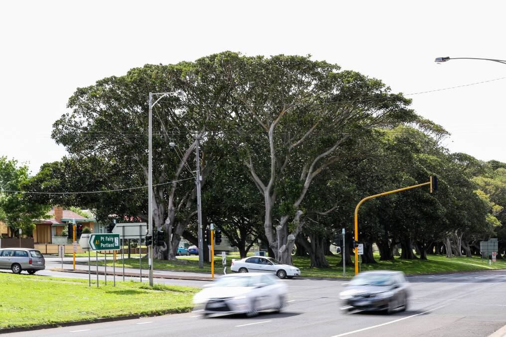 HAVE A SAY: The council is seeking community feedback on street trees, wayfinding and pedestrian safety measures in Banyan Street. Picture: Morgan Hancock