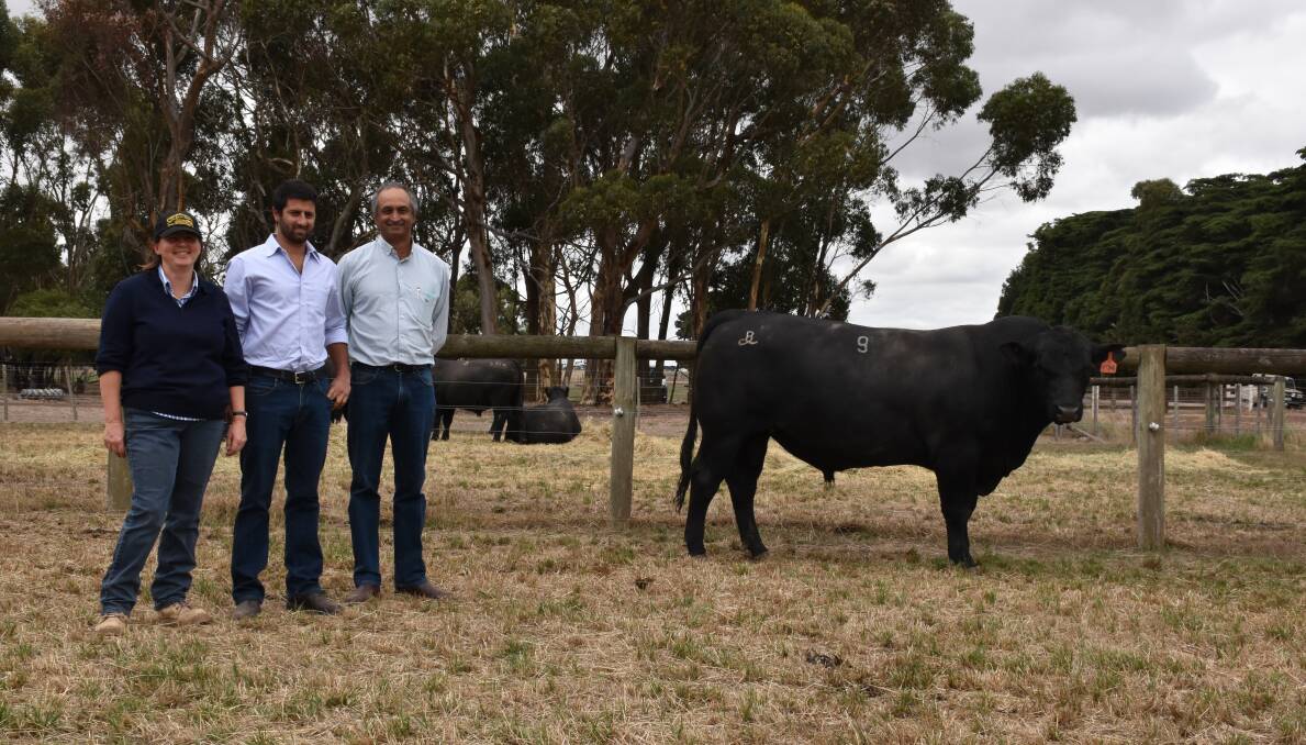 TOP: One of the top price bulls at Barwidgee's sale, with stud principal Wendy Kelly, and buyers Chris and David Sondhu, Harrow.