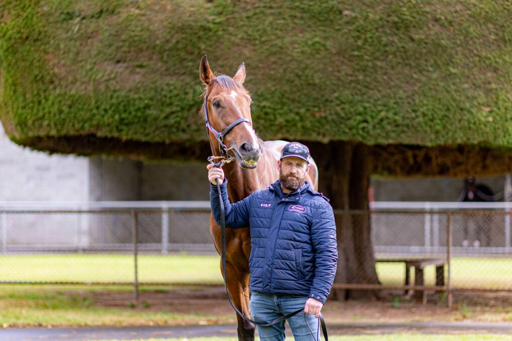 Declan Maher, from Ciaron Maher Racing, hopes Stern Idol will have success at the 2024 May carnival. Picture by Eddie Guerrero 