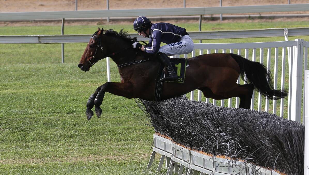 UP AND OVER: Trainer Jarrod McLean says Lord Of The Song is in great shape ahead of next year’s jumps season. Picture: Damian White