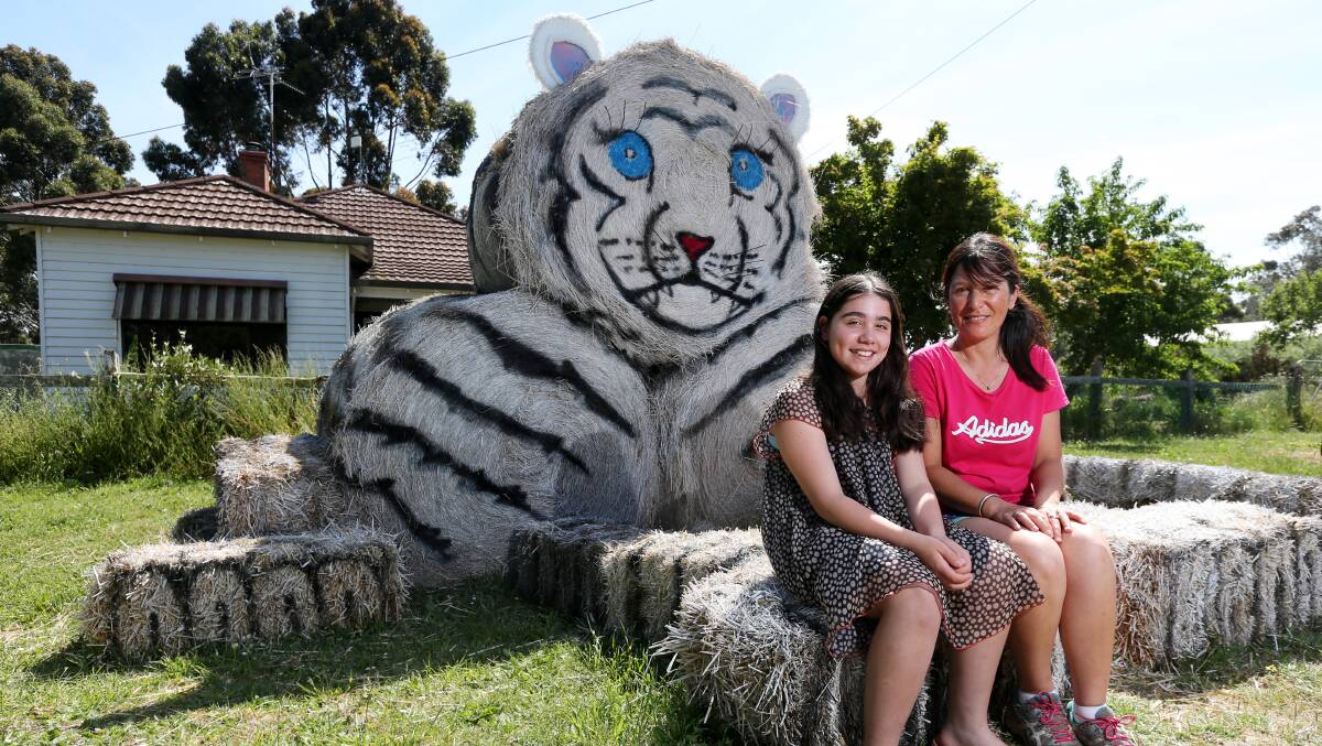 Eye-catching: Tarrington residents Zoe, 11, and Maree Taylor with their white lion created from hay bales. Picture: Rob Gunstone
