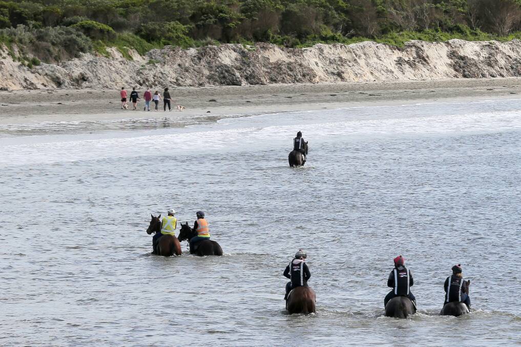 Debate continues around racehorses training at public beaches, including Lady Bay in Warrnambool (pictured) and Killarney beach. Picture: Rob Gunstone