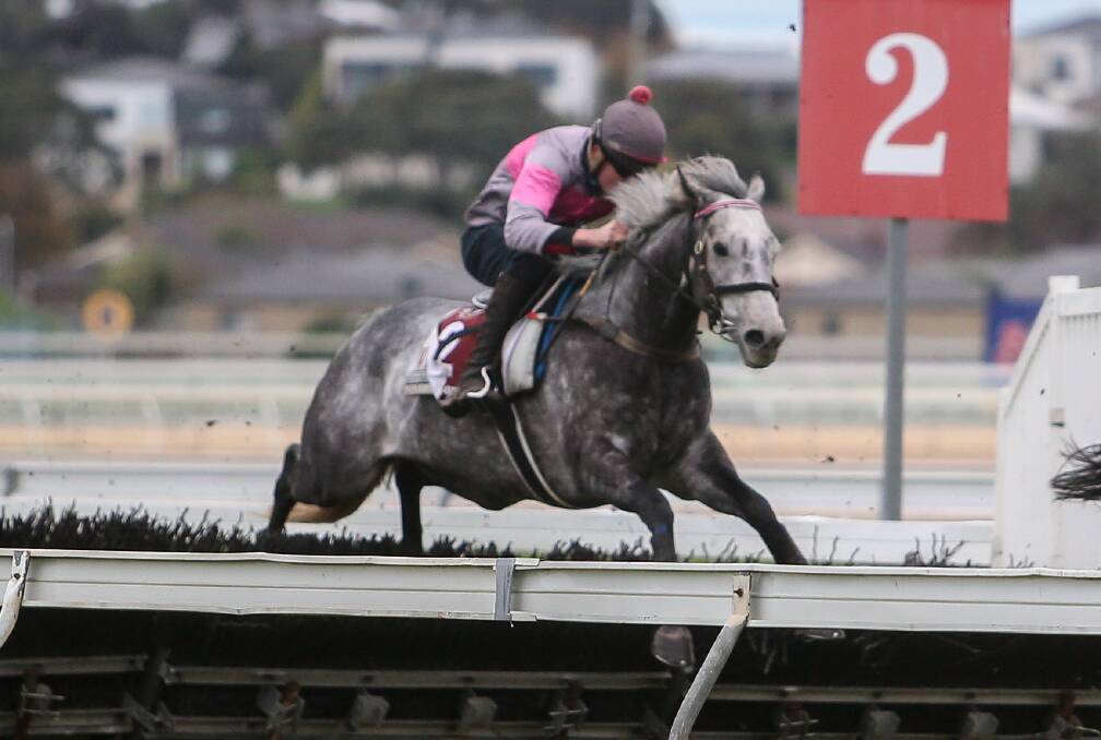 Dusty Manba ridden by Shane Jackson. Picture: Amy Paton