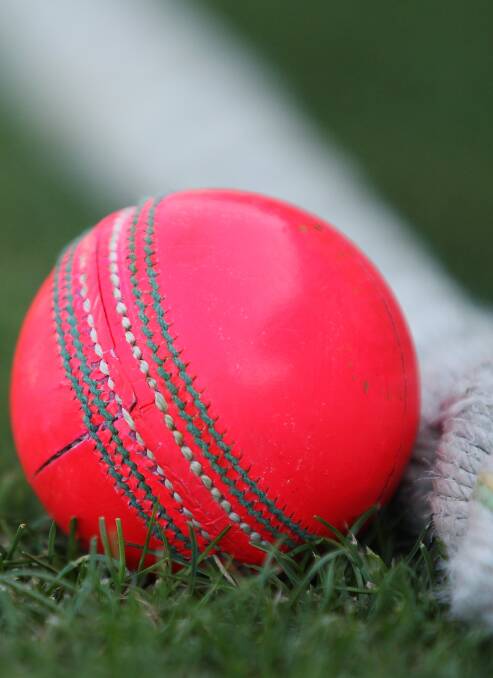 GROWING: The WDCA has announced concrete plans for girls cricket.