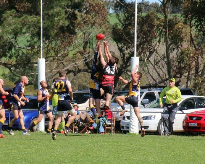 WITHIN REACH: Penshurst's Cameron Templeton stretches for a strong pack mark in the Bombers' hard fought victory over Hawkesdale-Macarthur. 