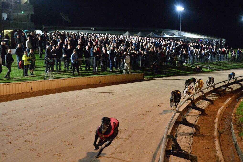 MILES AHEAD: Bewildering shoots ahead of the pack after the finishing post at Warrnambool. Picture: Clint Anderson