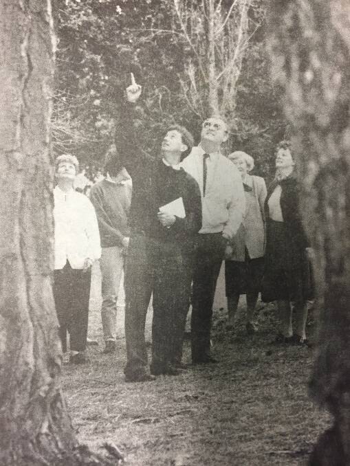 No Grow: Melbourne tree expert Richard Barley points upwards to show Mayor David Atkinson and other onlookers botanic gardens trees he thinks should be removed.