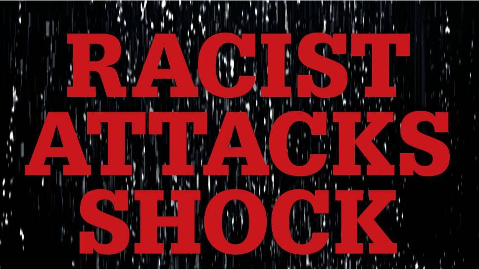 Racist attacks lead to guilty plea