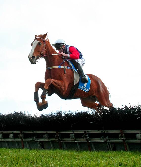 Bound for glory: Jockey John Allen and Gingerboy scored a runaway victory in Wednesday's showpiece event, the Galleywood Hurdle. Picture: John Donegan/Racing Photos