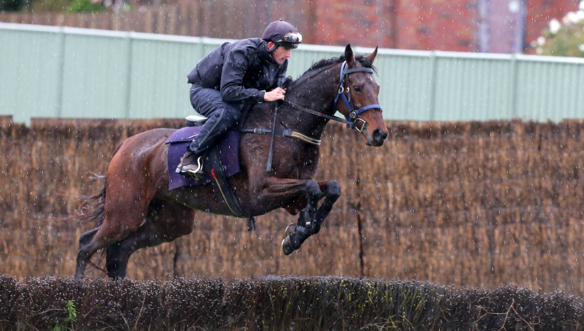 On a high: Richard Cully guides No Song No Supper over a jump on Sunday ahead of Thursday's Grand Annual Steeplechase. Picture: Rob Gunstone