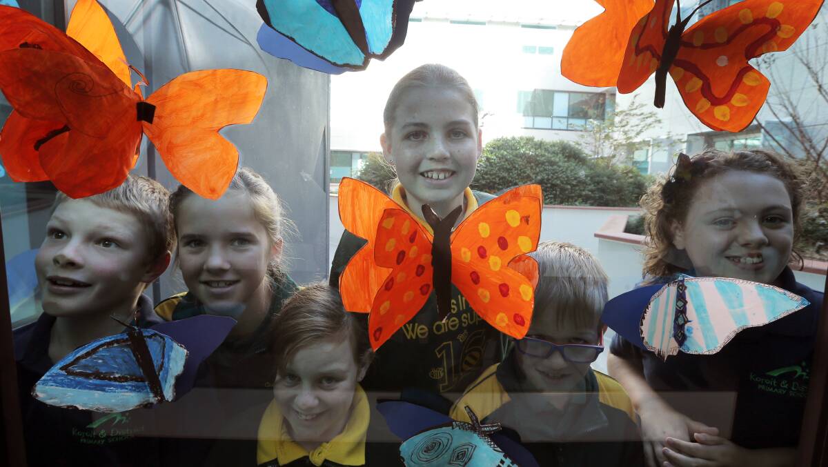 Pictured - l-r Lachlan McCosh, 8 Koroit and District Primary School, Abbie Hanks, 10 Cobden Primary School, Tara Crispe, 11 Allansford Primary School, Millie Smith, 11 Allansford PS, Brodie Hanks, 8 Cobden PS, and Bailie Mulready, 9 KDPS, with the butterflies painted by the schools for Pallatiive Care Week. Picture: Rob Gunstone