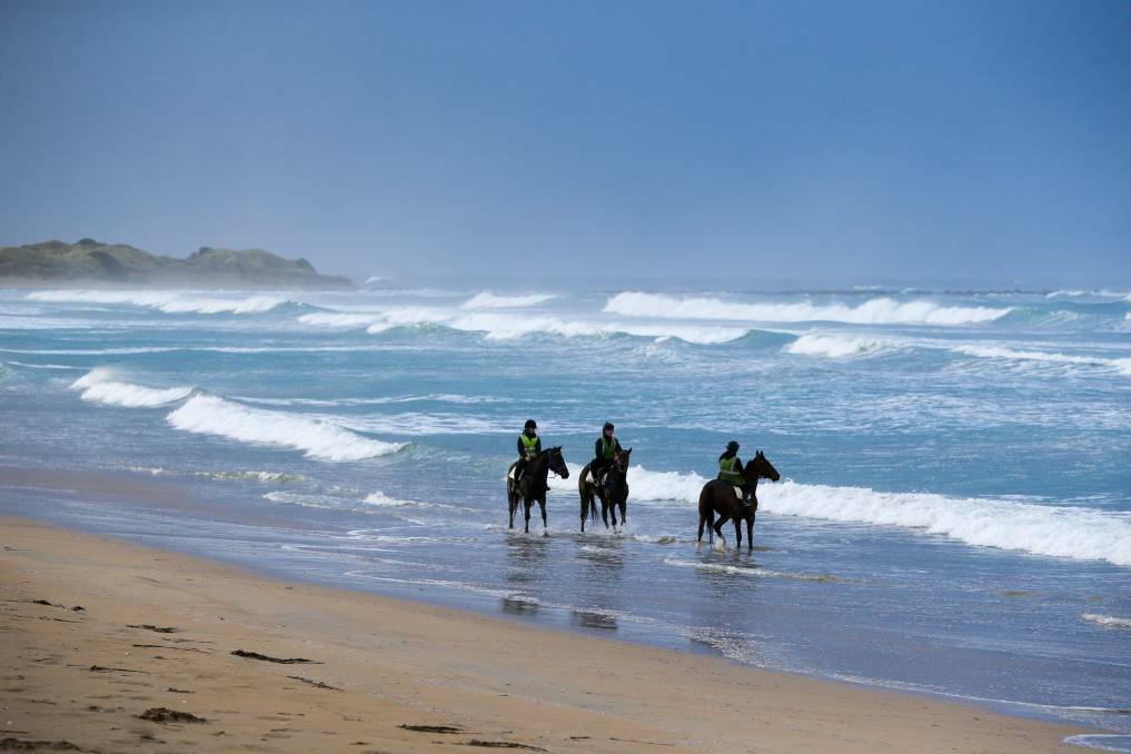 What the draft plan could mean for horse training on south-west beaches