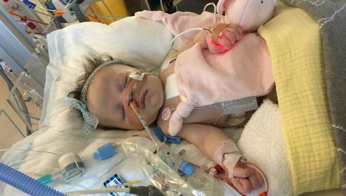 Tough journey: Warrnambool baby Charlotte Miller has spent the first weeks of her life battling congenital heart disease. 