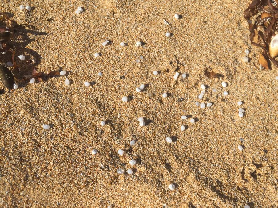 The plastic pieces, or nurdles, on Warrnambool's Shelly Beach.