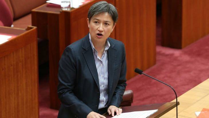 Senator Penny Wong said the government was in tatters.  Photo: Andrew Meares