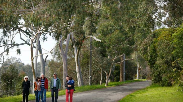 Ivanhoe residents want to keep the Boulevard in a state of disrepair.  Photo: Eddie Jim